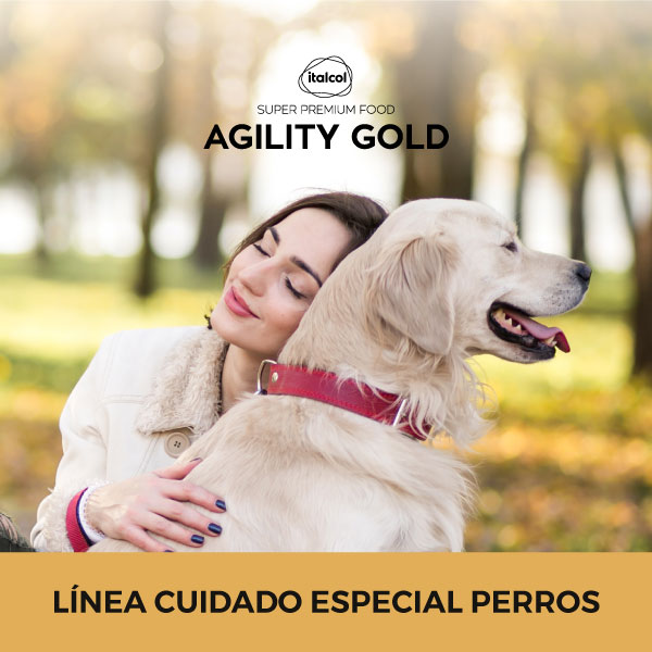 Agility Gold para Perros
