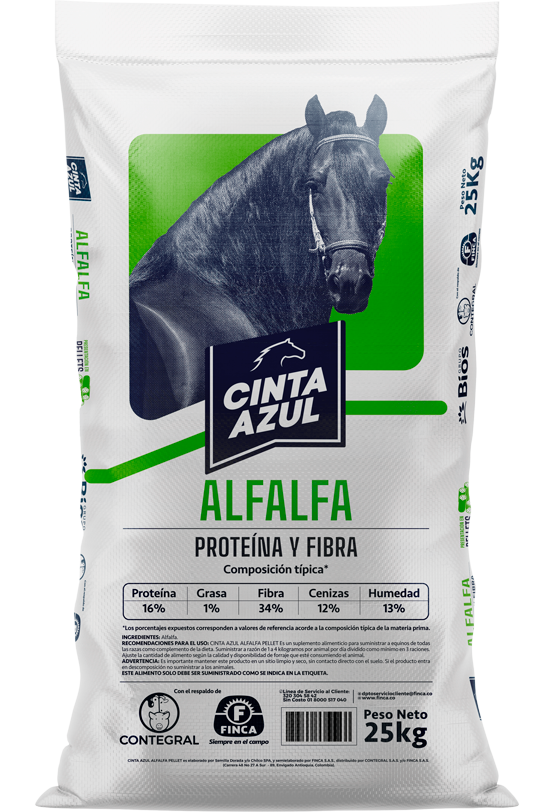 Alfalfa Cinta Azul