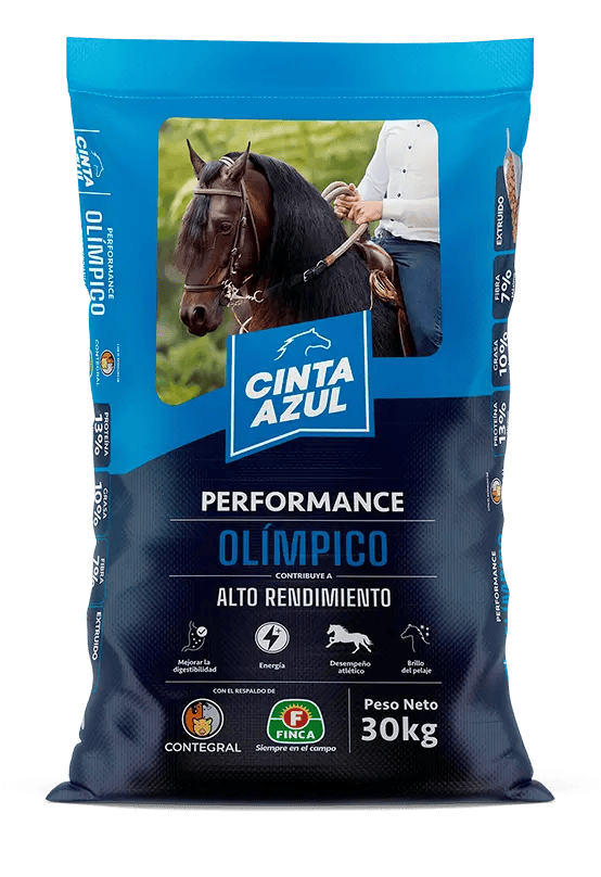 Caballos Activos