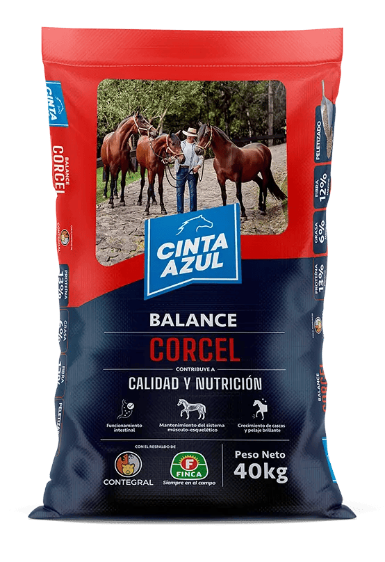 Equinos (Cinta Azul)