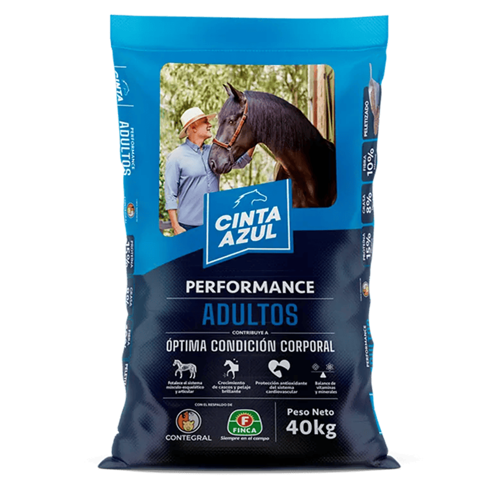 Cinta Azul Performance Adultos