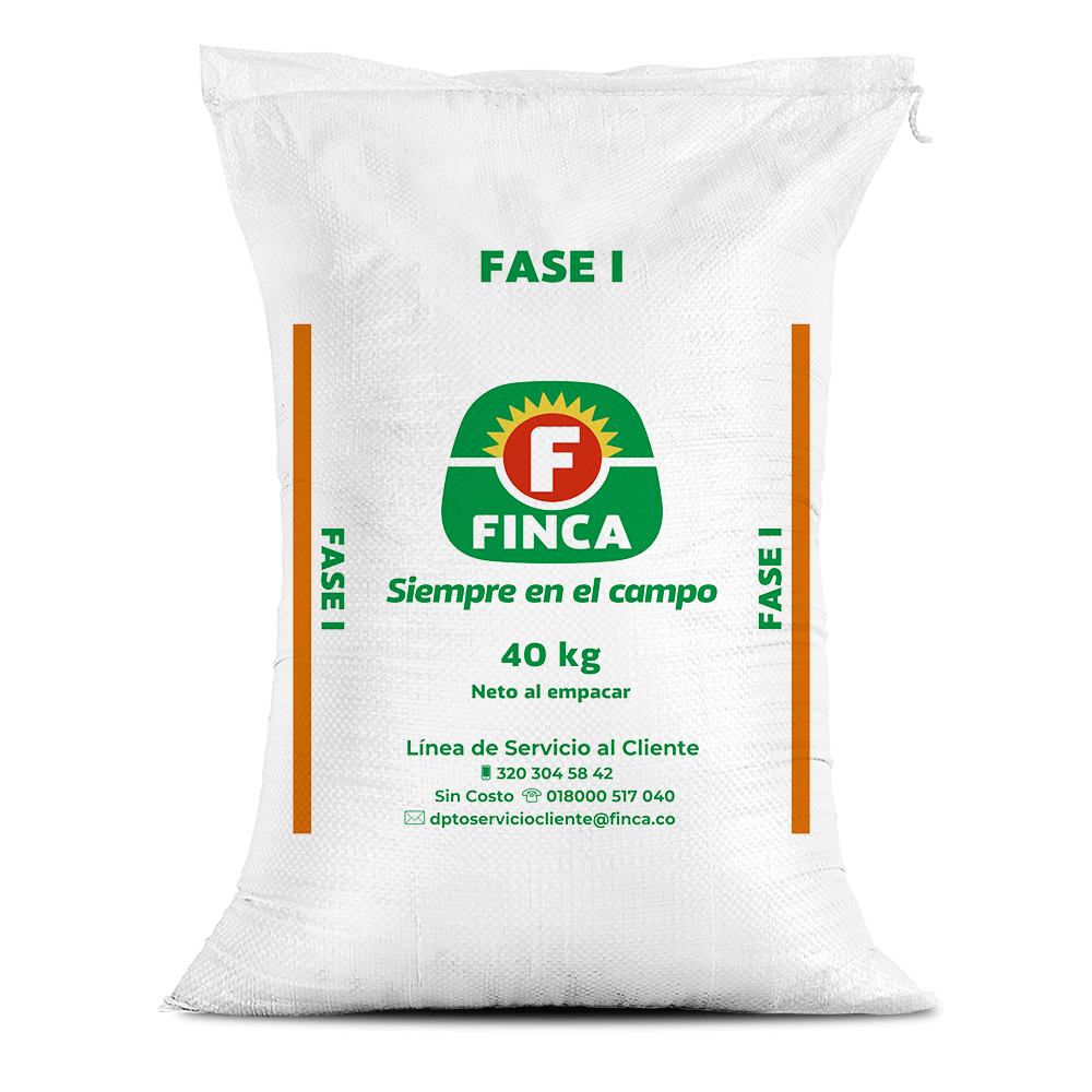 Finca Fase 1
