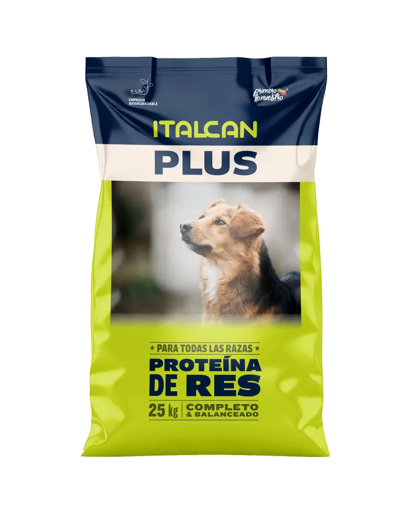 Italcan para Perros