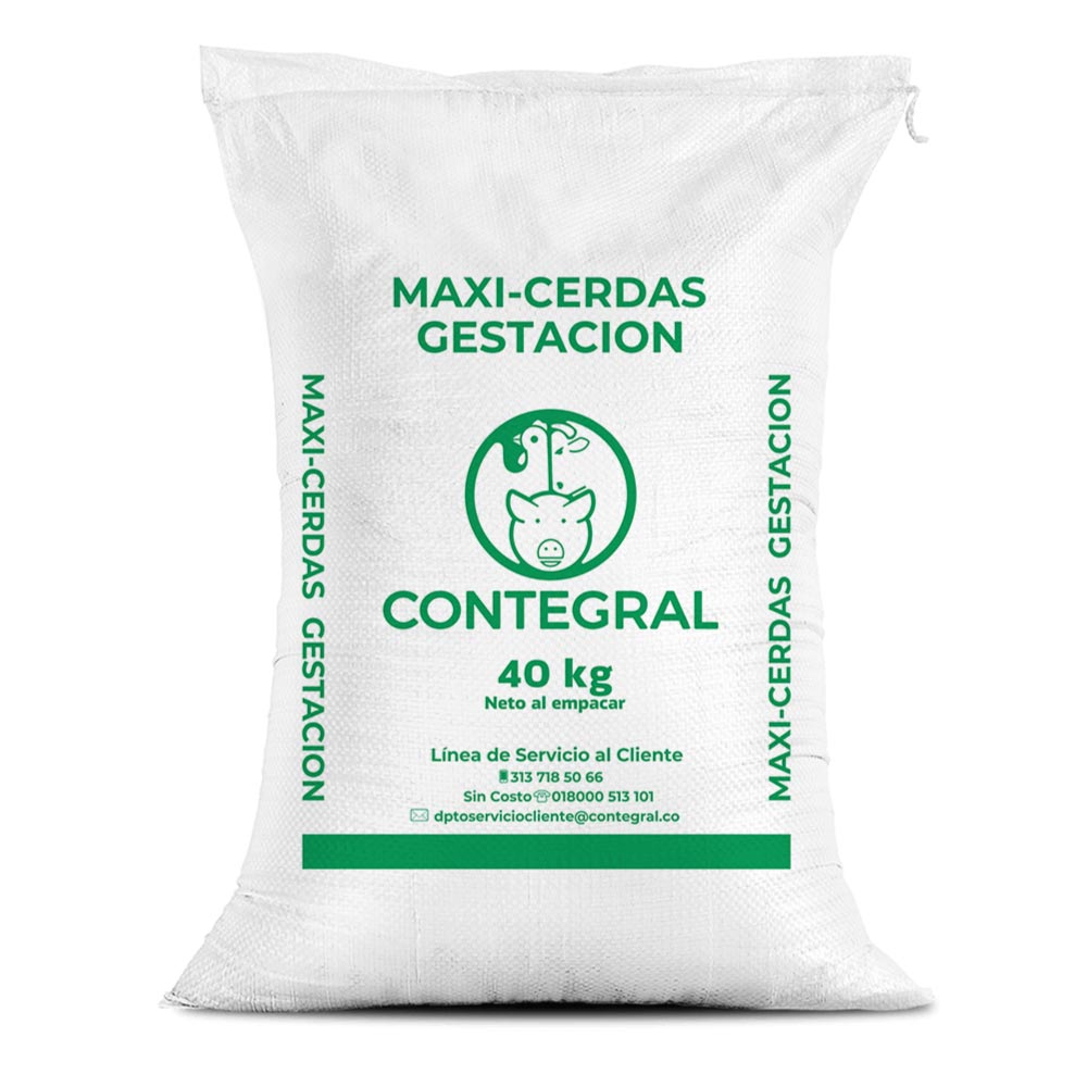 Maxi Cerdas Gestación