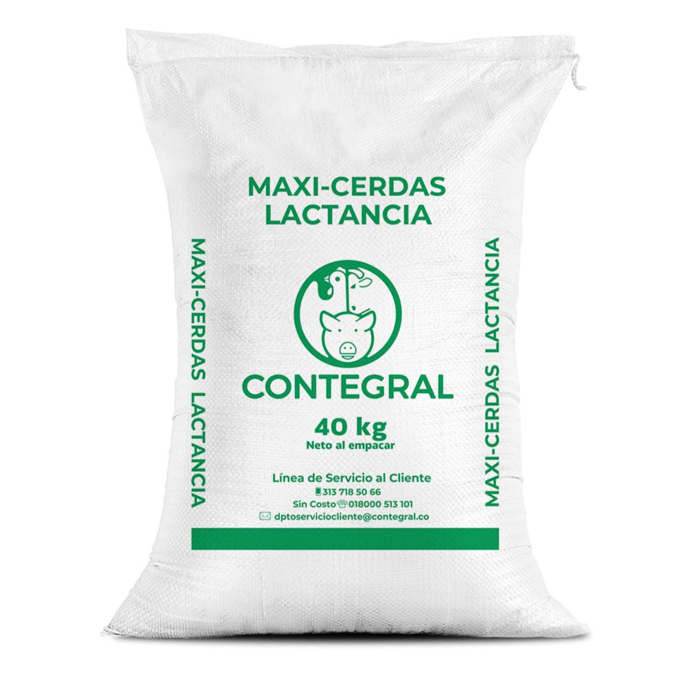 Maxi Cerdas Lactancia