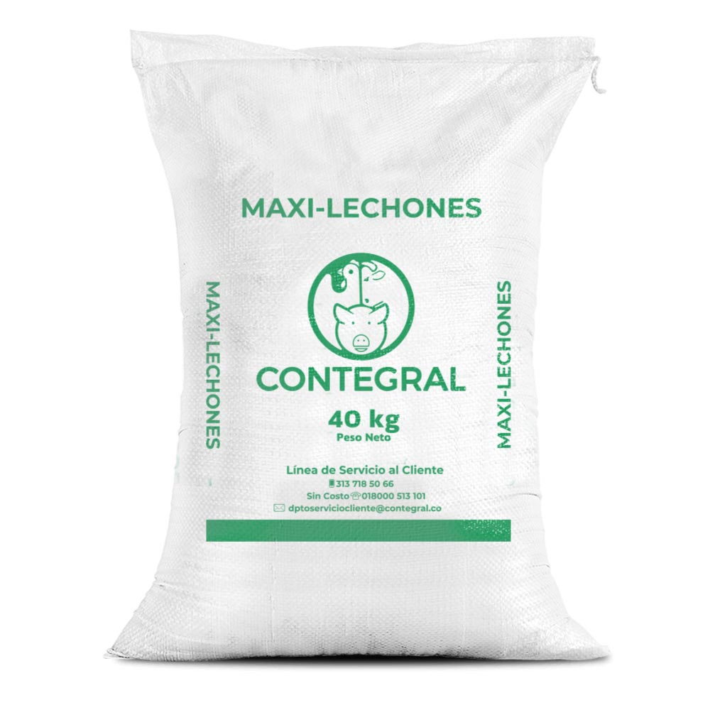 Maxi lechones