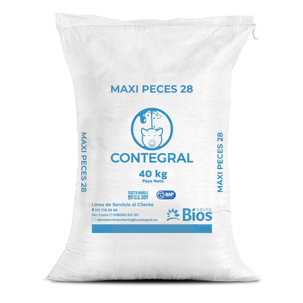 Maxi Peces 28