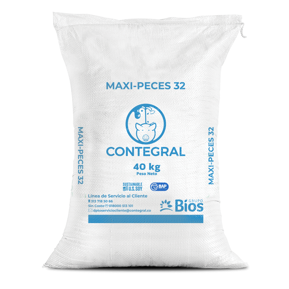 Maxi Peces 32