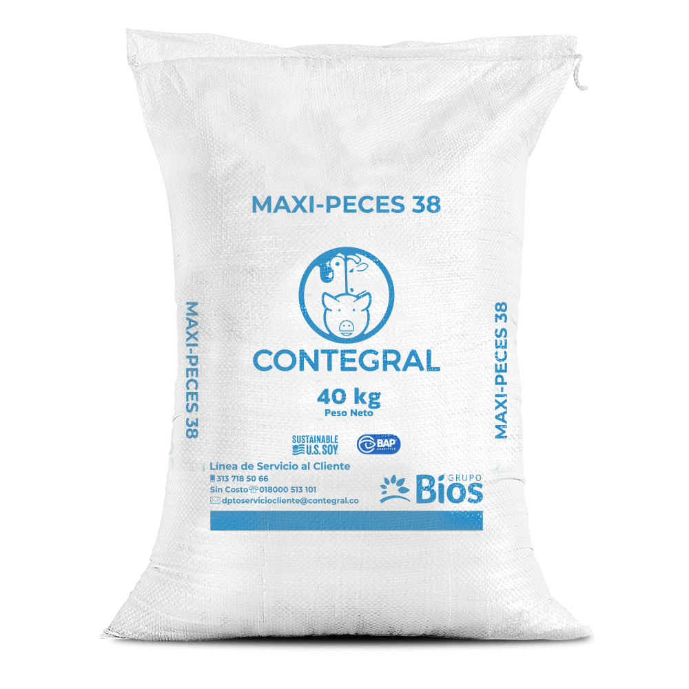 Maxi Peces 38
