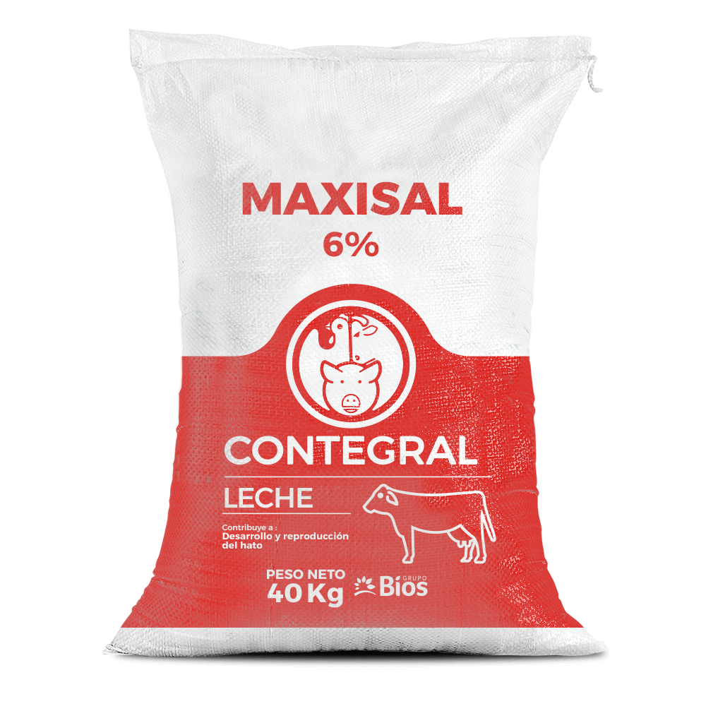 Maxi Sal 6%