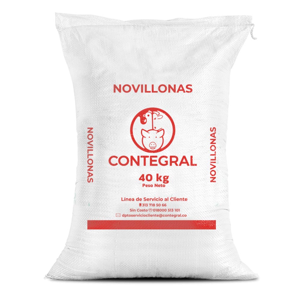 Novillonas