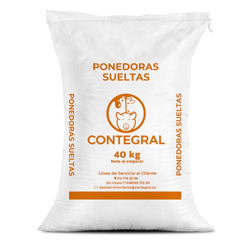 Ponedora suelta