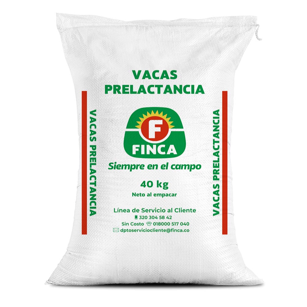 Vacas Prelactancia Finca