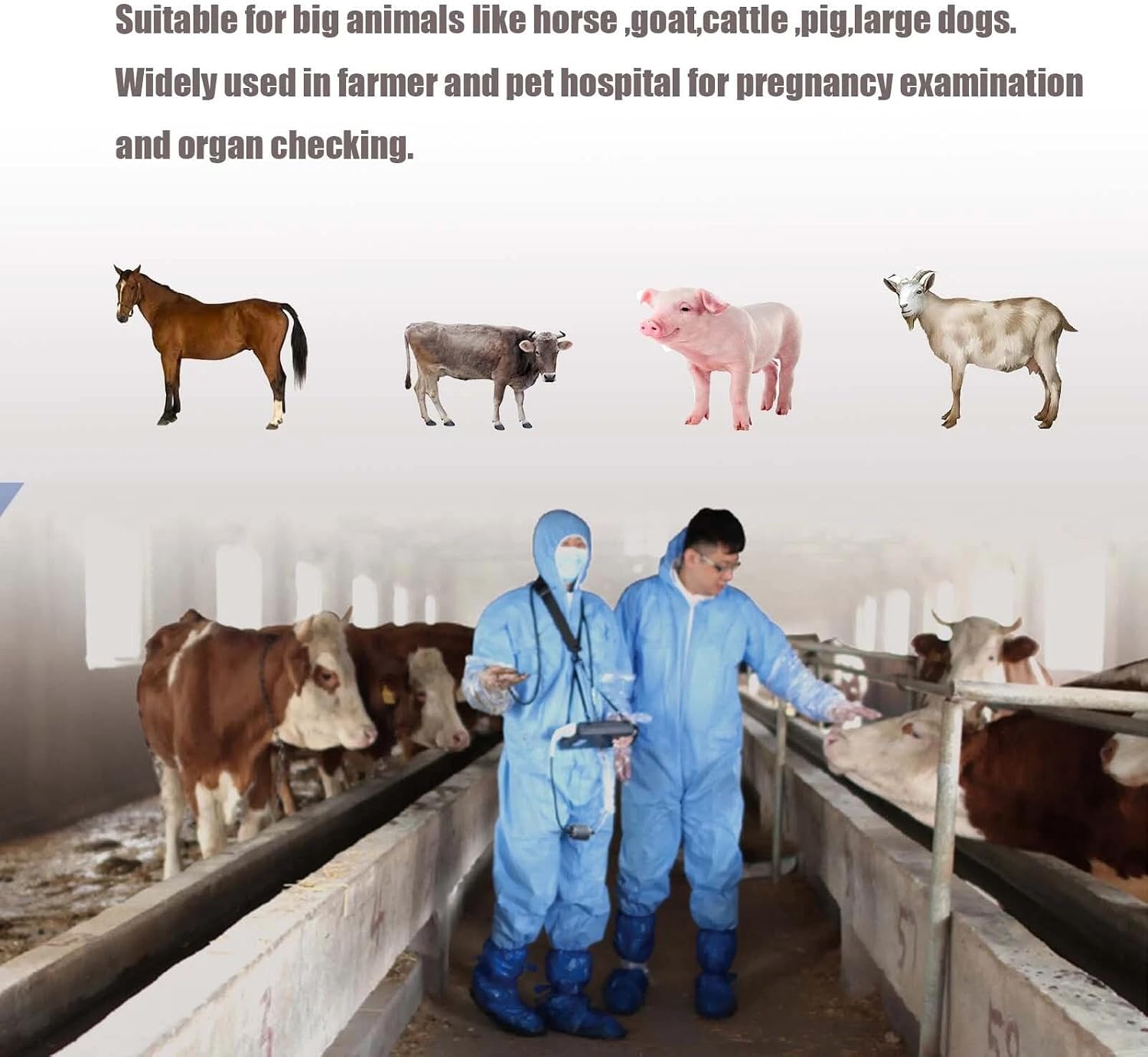 Veterinarios haciendo ecografía a ganado en finca con un ecógrafo portátil Dawei, distribuido por Nutricampo en Nariño, Cauca y Valle del Cauca
