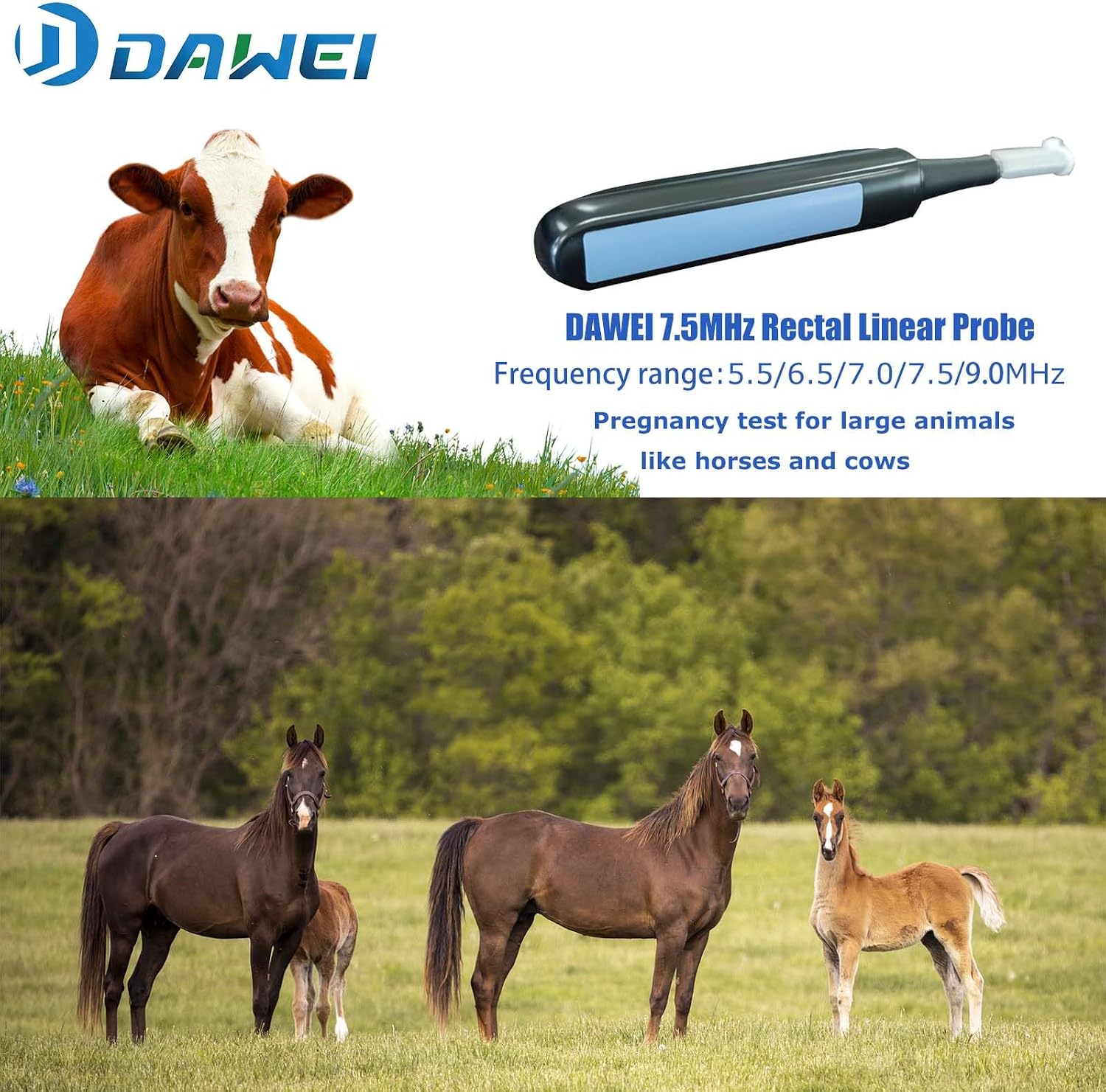 Sonda rectal lineal de 7,5 MHz del ecógrafo Dawei S1 para diagnóstico de gestación en yeguas y vacas, distribuido por Nutricampo en Nariño, Cauca y Valle del Cauca
